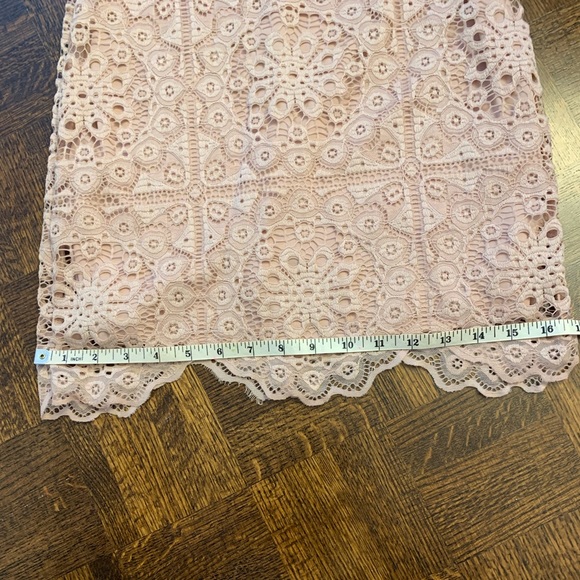 NWT Jack by BB Dakota pink lace dress. Size XS - Picture 11 of 16